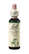 Bach®-Blüte Nr. 33 Walnut (Walnuss), A-Nr.: 5323386 - 01