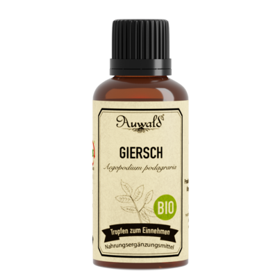 Auwald® - Giersch - BIO Tropfen (Auszug, Extrakt, Essenz), A-Nr.: 5709625 - 01