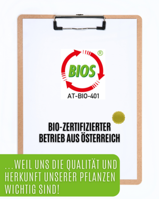 Auwald® - Baldrian BIO Tropfen (Auszug, Extrakt, Essenz), A-Nr.: 5709571 - 03