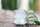 Bio Aloe Vera Saft, Premium, aus Mexiko, 1 Liter, 100% pur, A-Nr.: 5229115 - 02