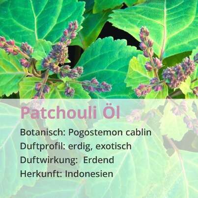 Patchouli Öl, A-Nr.: 5296407 - 02