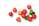 BIO Acerola Vitamin C Fruchtpulver, mit 17% natürlichem Vitamin C, 500g, A-Nr.: 5229032 - 03