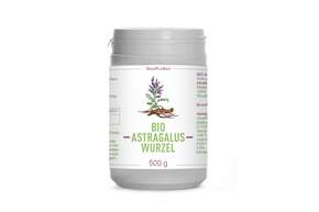 BIO Astragalus-Wurzel-Pulver 100% 500g, A-Nr.: 5816864 - 01