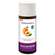 Taoasis Aprikosenkern Basisöl Bio|demeter 50ml, A-Nr.: 3162192 - 02